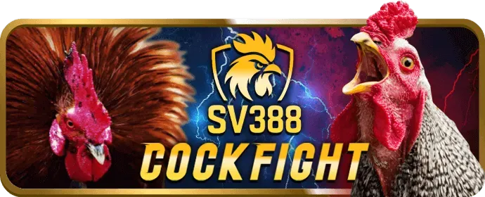 Cập nhật ứng dụng like88 win